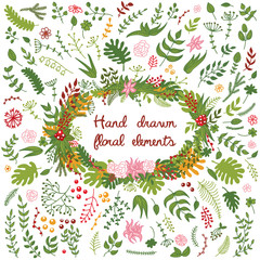 Vector set of hand drawn floral elements - flowers, branches, leaves.