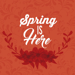hello spring design 