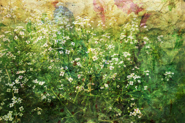 Obraz na płótnie Canvas artwork with small white flowers and watercolor splashes