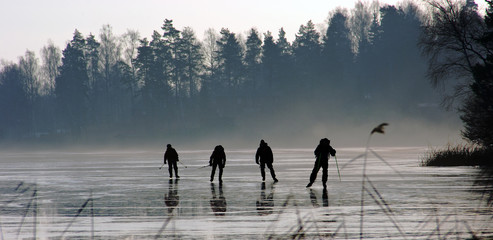 4 personer åker långfärdsskridskor på en sjö