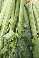 Fototapeta premium Ortaggi e frutta al mercato