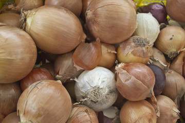 Ortaggi e frutta al mercato
