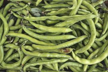 Ortaggi e frutta al mercato - Fagiolini
