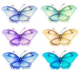 бабочки  ,акварель  © mitrushova