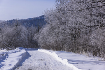 厳冬期の白い雪道