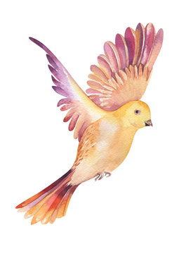 Watercolor Illustration Of A Yellow  Bird Flying, Isolated On Wh