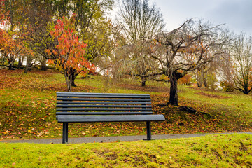 Bench in autumn park under rain