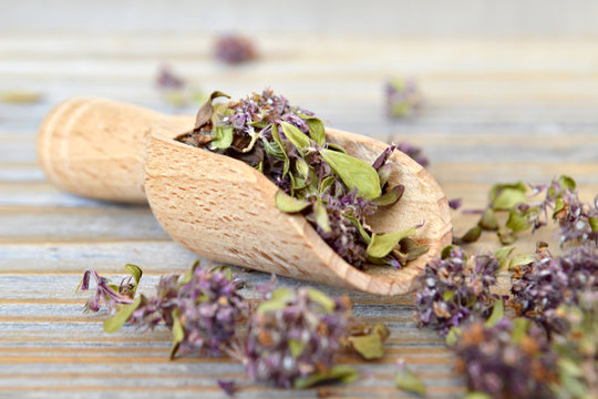 Dried thyme on wooden background