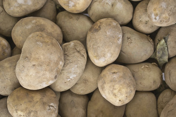 Ortaggi e frutta al mercato
