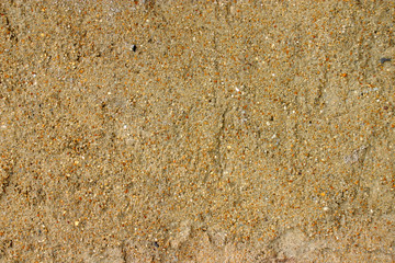 yellow sand texture consisting of grains of individual