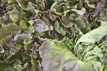 Ortaggi e frutta al mercato
