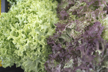 Ortaggi e frutta al mercato
