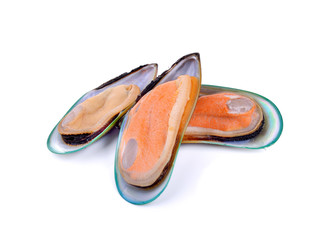 New Zealand green mussels on white background