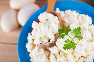 fresh cottage cheese