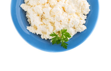 fresh cottage cheese