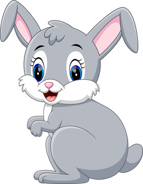 illustration of cute rabbit cartoon