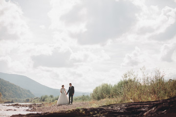 Obraz premium Beautiful wedding couple stay on stone of the river in scenic mountains