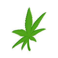 Marijuana leaf icon, isometric 3d style