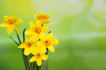 gelber osterblumenstrauß