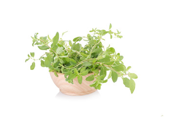 Fototapeta premium fresh Oregano herb on white background