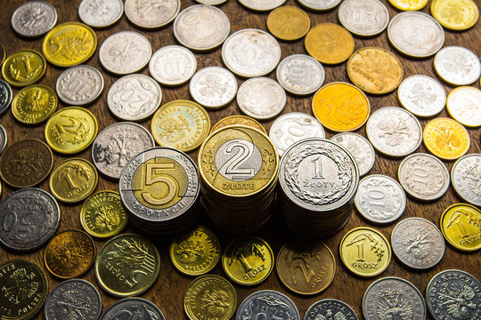 Polish money coins