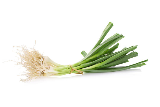 Allium Porrum On White Background