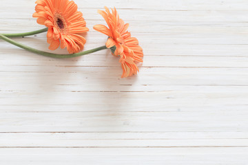 gerbera flowers on the wooden table