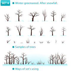 Winter greenwood. After snowfall. Set 6. (Winter deciduous forest.)