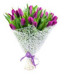 bouquet of 25 purple tulips, isolated on white background, shall