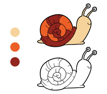 Coloring Book, Coloring Page (snail)