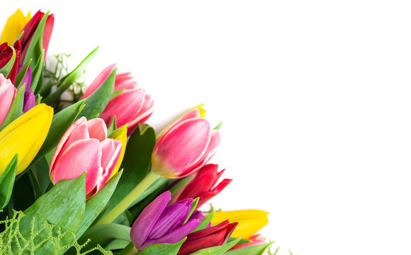 bouquet of colorful tulips, isolated on white background