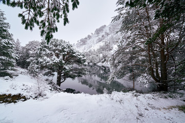 Cairngorms, Scottish Highlands