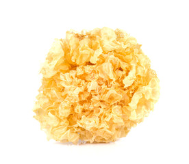 White Jelly Fungus on white background.