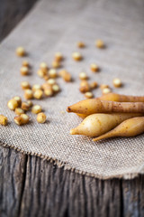 Galingale on sackcloth