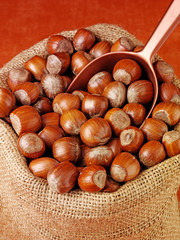 SACK OF WHOLE HAZELNUTS