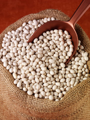 SACK OF HARICOT BEANS