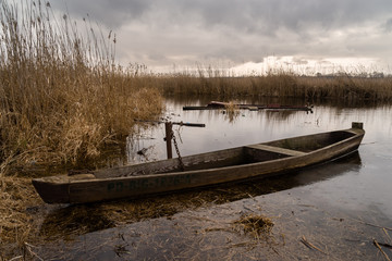 Narwiańska pychówka © podlaski49