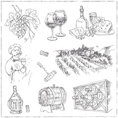 Set of wine drawings. Sketches. Hand-drawing. Vector illustratio