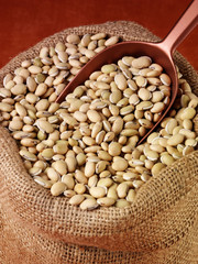 SACK OF VAL BEANS / HYACINTH BEANS