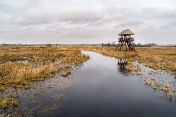Rzeka Narew © podlaski49
