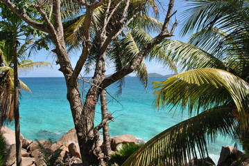 Paradise