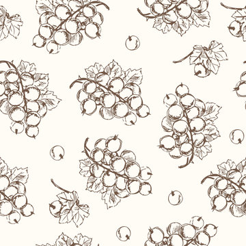 Black currant seamless pattern. Collection of berries.