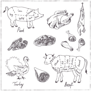 Vector hand drawn set with Meat.