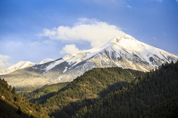 Fototapeta premium Beautiful nature close to famous Aspen, Colorado