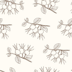 Dogrose Seamless Pattern. Collection of berries.