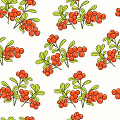 Lingonberry Seamless Pattern. Collection of berries.