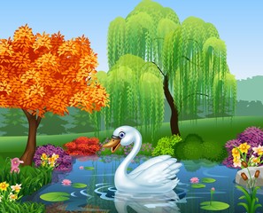 Cute swan floats on mountain river
