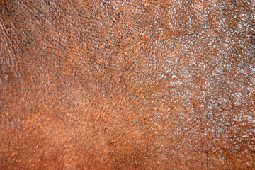 Orange nubuck leather texture with veins and shimmering