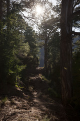 Obraz premium Mountains of Beceite