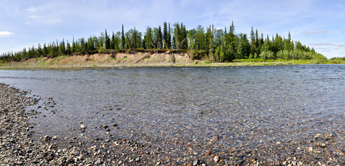 Panorama of the river landscape.
